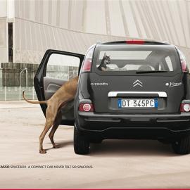 雪铁龙Citroen C3 :从未感到如此宽敞