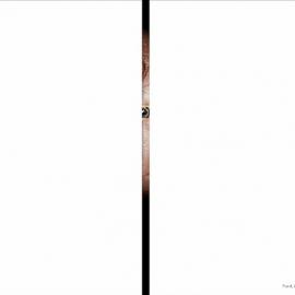 Oral-B(欧乐)牙线广告