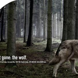 NABU德国自然保护联盟