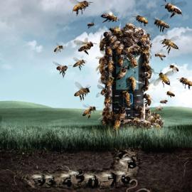 Movistar手机：谁不爱