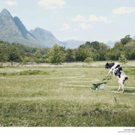 Viking割草机广告欣赏