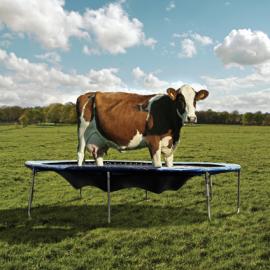 麦当劳：真正的奶昔