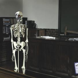 CityVarsity平面广告