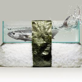 DO ：谁爱吃最好的日本料理