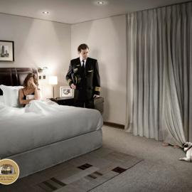 Nutri Balance狗粮广告