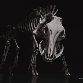 Tramontina餐具广告