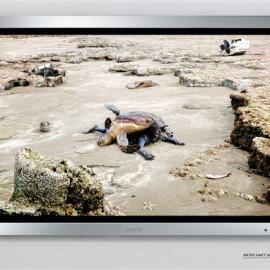 SANYO(三洋)防水液晶电视