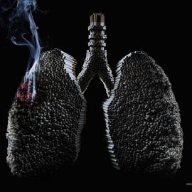ADESF巴西反对吸烟组织广告, Lungs