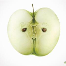 Children Of Chernobyl(卵巢苹果)创意广告