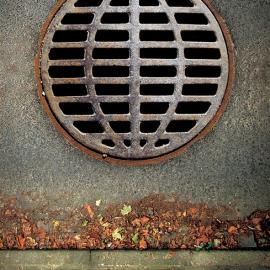 绿色和平组织(漏极)公益广告