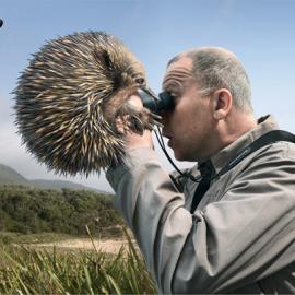 2008戛纳广告节平面类金奖 OLYMPUS 望远镜