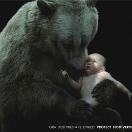 法国Nicolas Hulot基金会环保公益广告