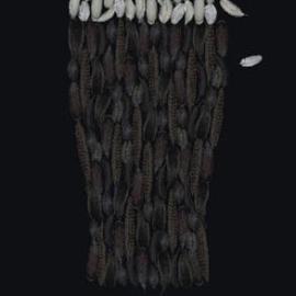 Guinnes 啤酒广告创意