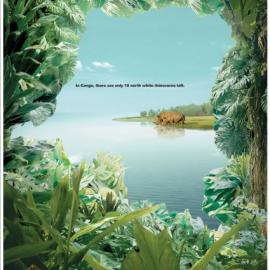 WWF:珍惜大自然--世界保护野生动物公益海报