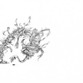 Musica广告: A world awaits