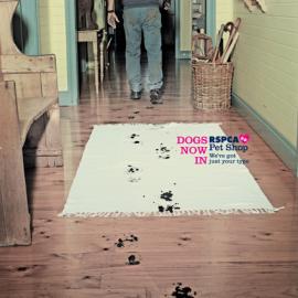 英国防止虐待动物协会（RSPCA）广告