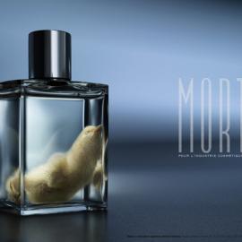 NOAH Menschen für Tiere e.V.广告欣赏