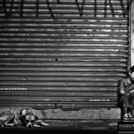 Patronato Santo Antonio广告欣赏