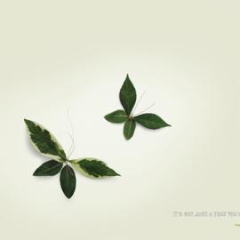 Covidien平面广告欣赏