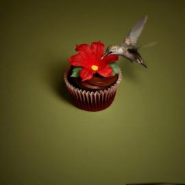 Eini & Co创意平面欣赏