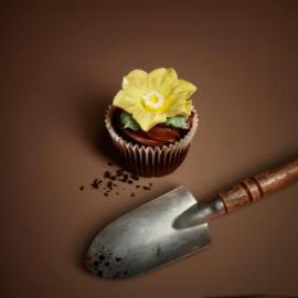 Eini & Co cupcakes广告欣赏