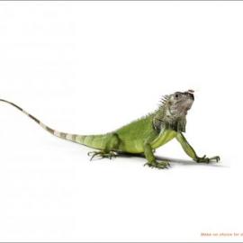 Off杀虫剂广告欣赏