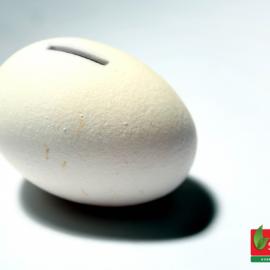 Subhiksha零售超市广告欣赏