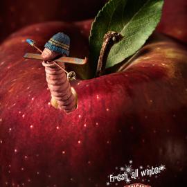 卡尔加里农贸市场:冬季也新鲜