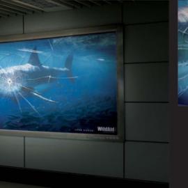 Wildaid公益广告：没有买卖,就没有杀害!