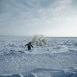 2008 oneshow青年创意大赛入围作品―诺基亚（五）