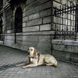 2008 oneshow青年创意大赛入围作品―诺基亚（二）