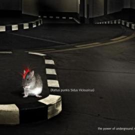 Radio 103广告:地下音乐的威力