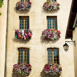 Lenor 衣物柔顺剂广告