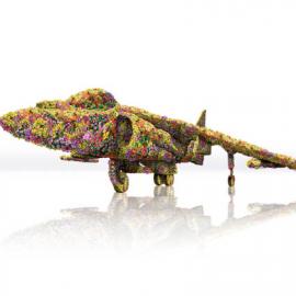 柔顺剂广告欣赏