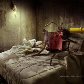 08纽约广告奖银奖（一）