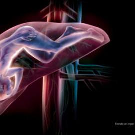 红十字会广告欣赏