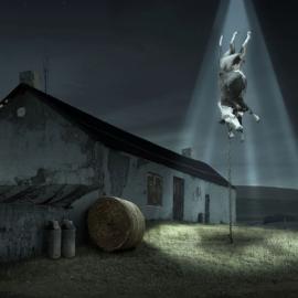 Masterlock：外星人来偷牛了