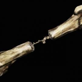 ESPN体育频道广告