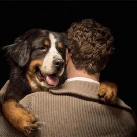 Pedigree 宝路狗粮广告