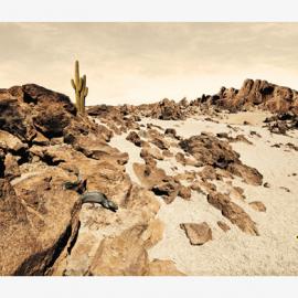 Surfrider环保基金会广告招贴欣赏