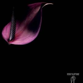 newform浴室设计：我的美丽