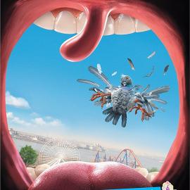 香格里拉ronde游乐园：意想不到的惊喜