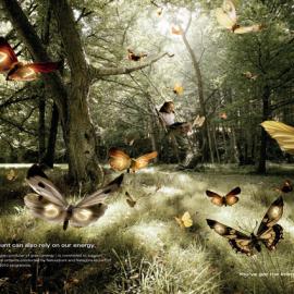 能源开发商：环境投资