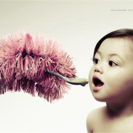 Carre’ Fresh: 你的手干净吗