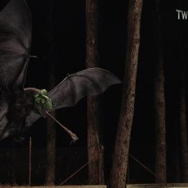 Shock FX广告招贴欣赏