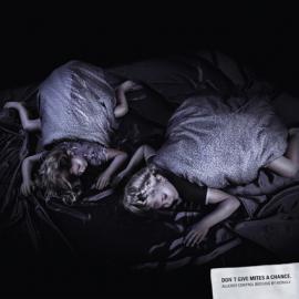 M&ouml;max.：寝室昆虫防御，不给蜘蛛一个机会