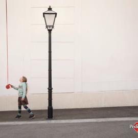 Pedigree Light: Ultralight