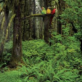 Jeep: Traffic Lights