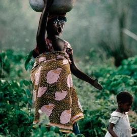 AMAM:反对切割女性生殖器国际日