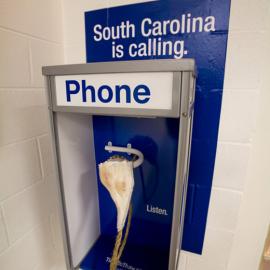 南卡罗来纳州旅游广告招贴欣赏